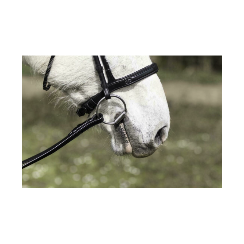 Flash Noseband Bridle - La Cense by Dy'on