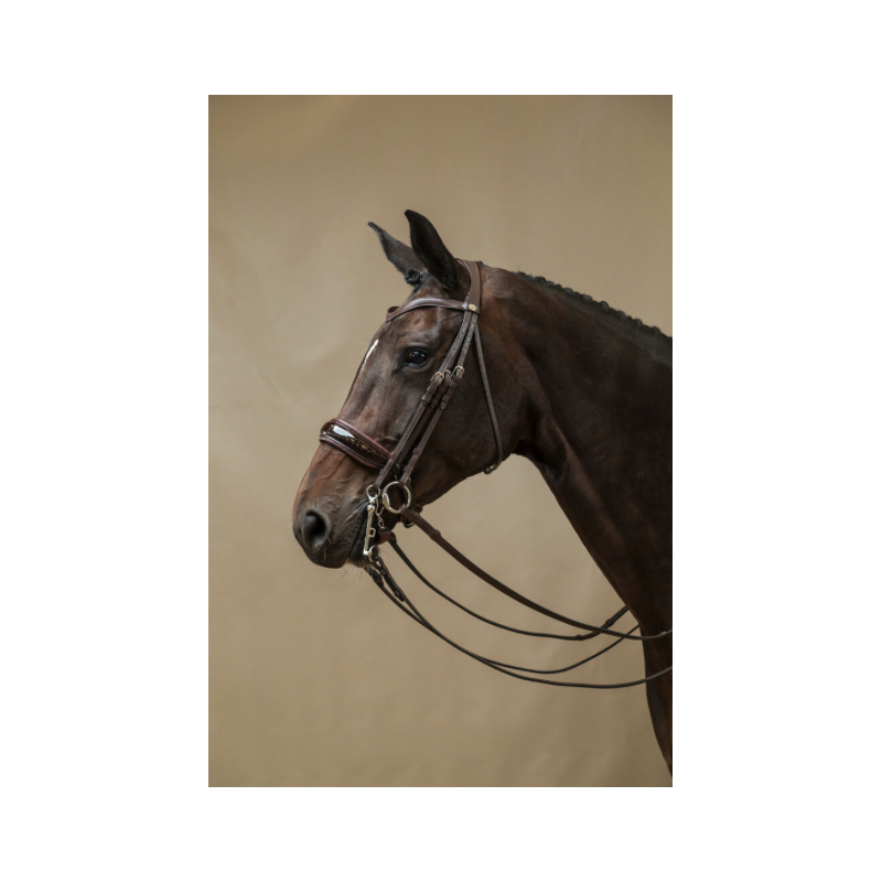 Dressage Double Bridle Dy'on