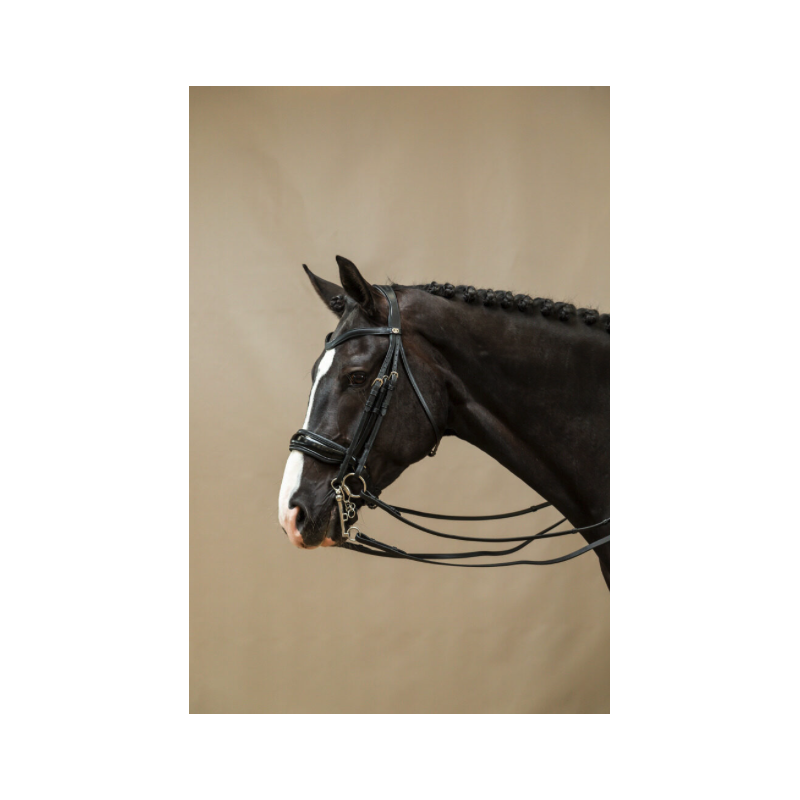 Dressage Double Bridle Dy'on