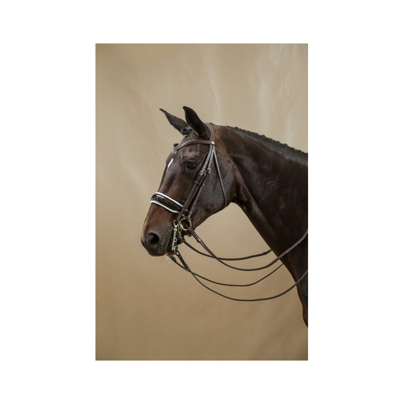 Dressage Double Bridle Dy'on