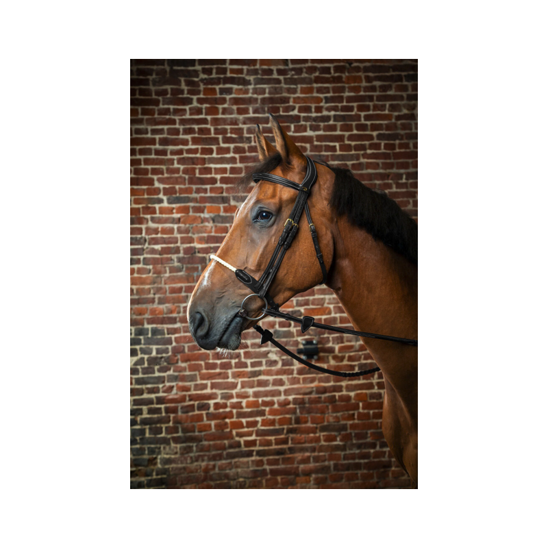 Rope Noseband Bridle - D Collection Dy'on