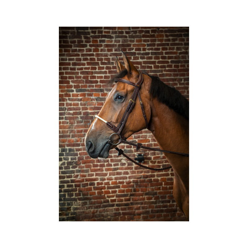 Rope Noseband Bridle - D Collection Dy'on