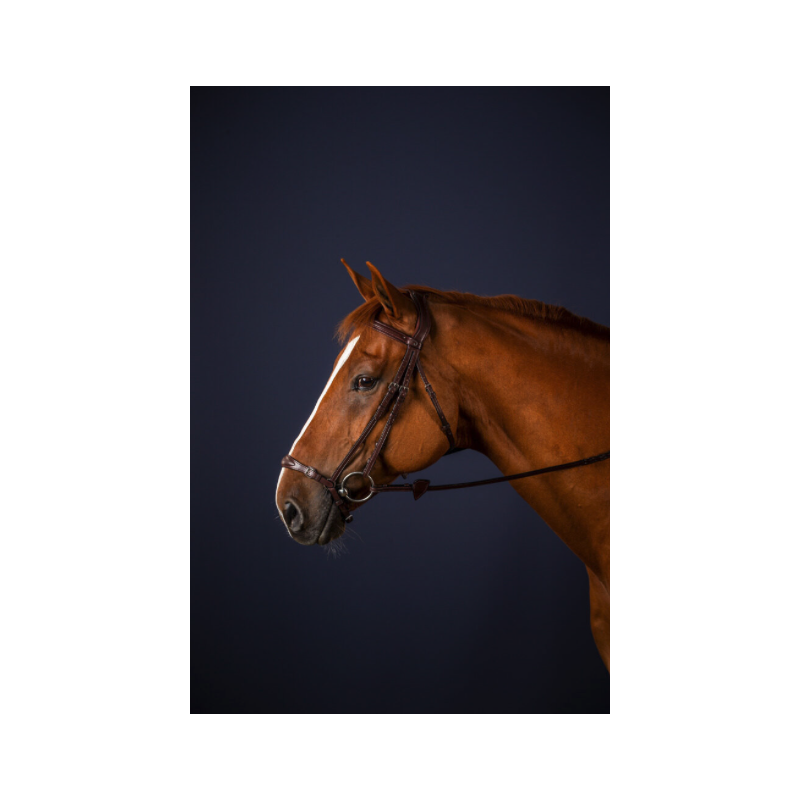 Drop Noseband Bridle - New English - Dyon | Mors & More