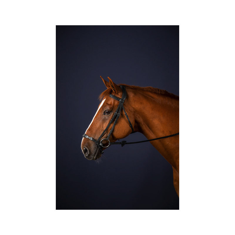 Drop Noseband Bridle New English Dy'on