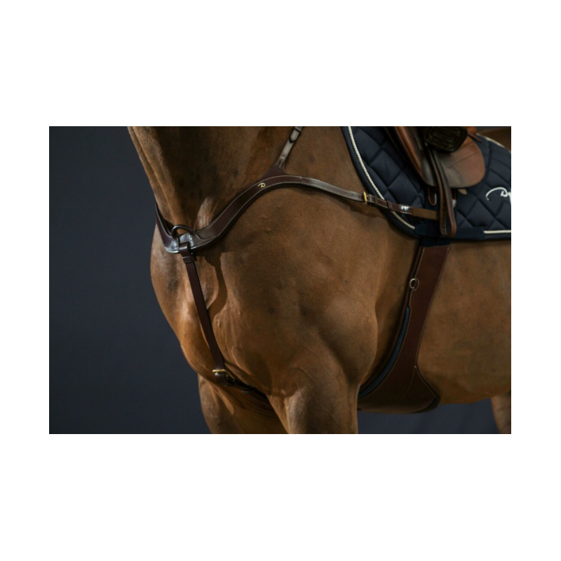 Anatomic Breastplate - D Collection Dy'on
