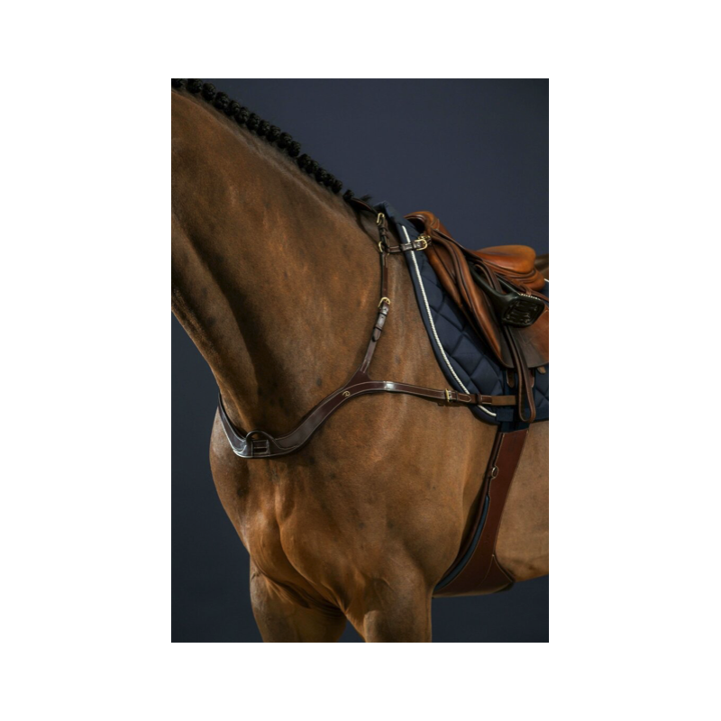 Anatomic Breastplate - D Collection Dy'on