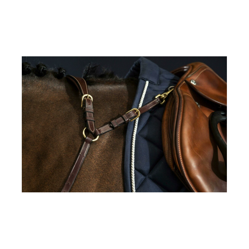 Anatomic Breastplate - D Collection Dy'on
