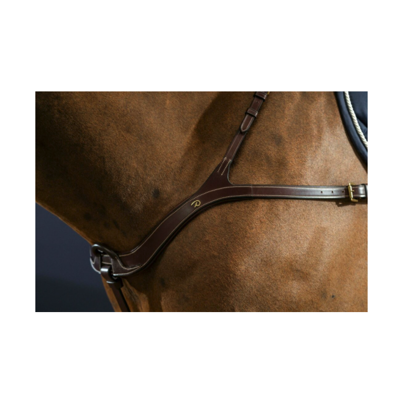 Anatomic Breastplate - D Collection Dy'on