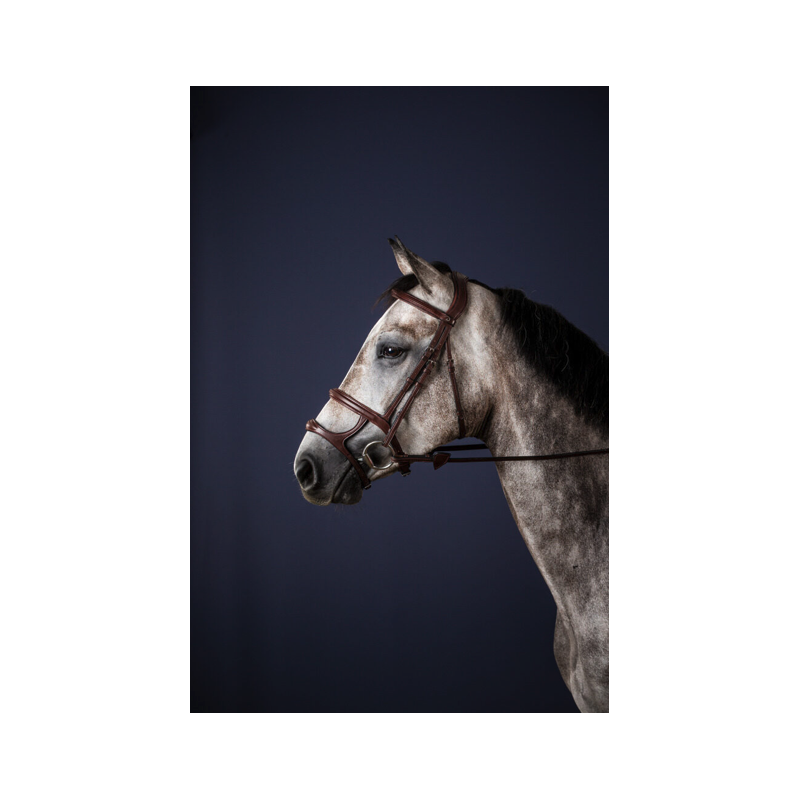 Double Noseband Bridle - New English Collection Dy'on