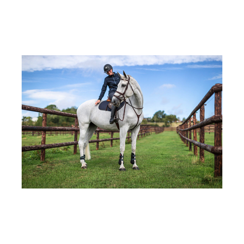 Double Noseband Bridle - New English Collection Dy'on