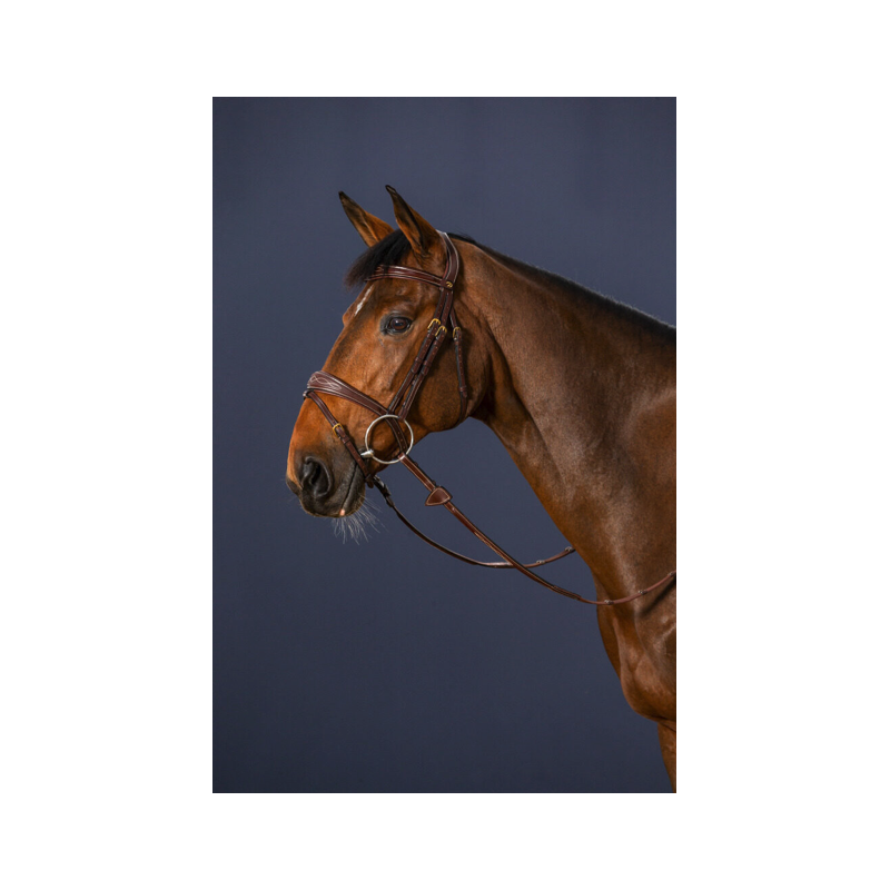 Anatomic Flash Noseband Bridle D Collection Dy'on