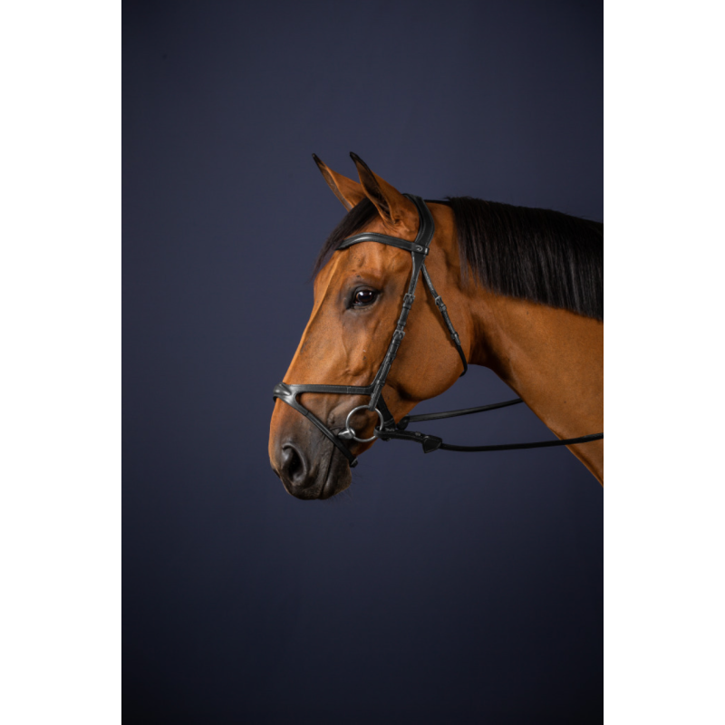 X-Fit Bridle - New English Collection Dy'on