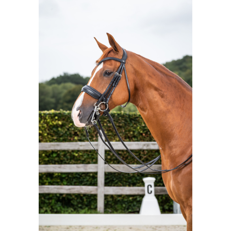 Dressage Double Bridle Dy'on
