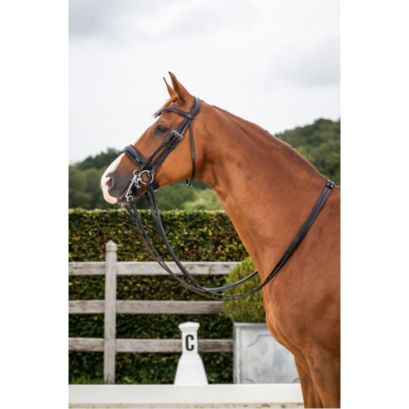 Dressage Double Bridle Large Patent Noseband Dy'on