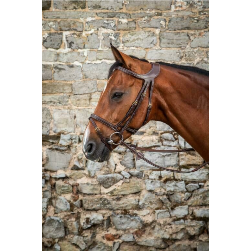 "Difference" Bridle - D Collection Dy'on