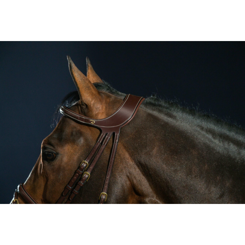 "Difference" Bridle - D Collection Dy'on