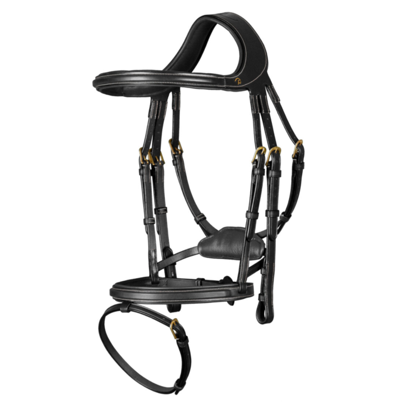 "Difference" Bridle - D Collection Dy'on