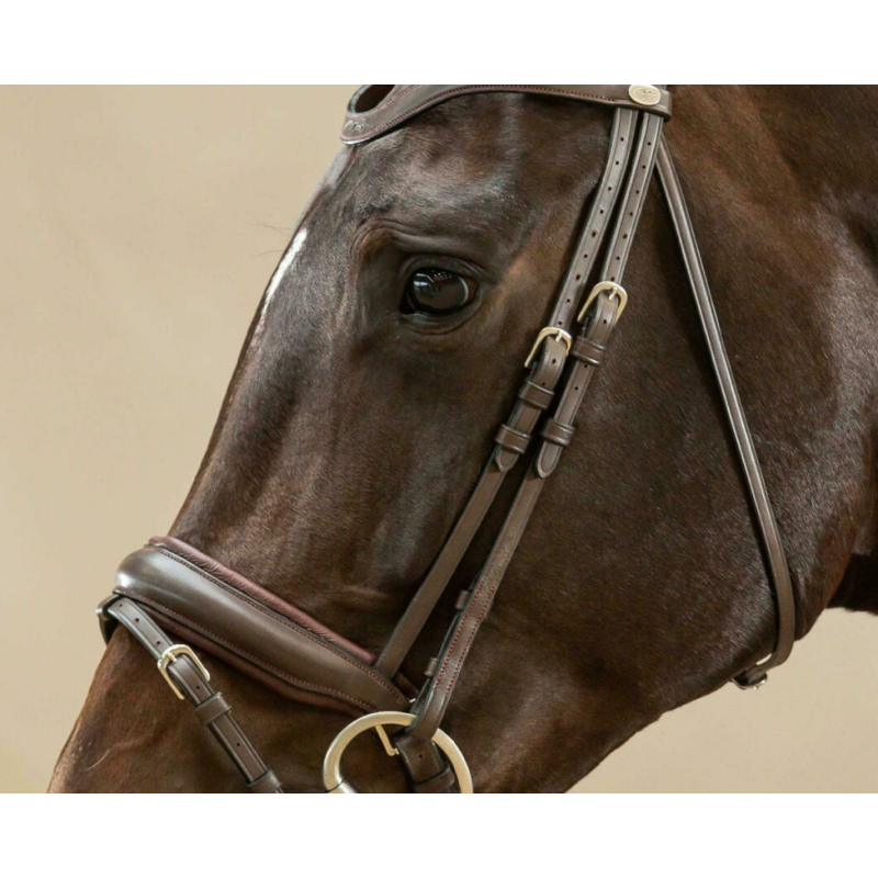 Dressage cheekpieces - Working by Dy'on