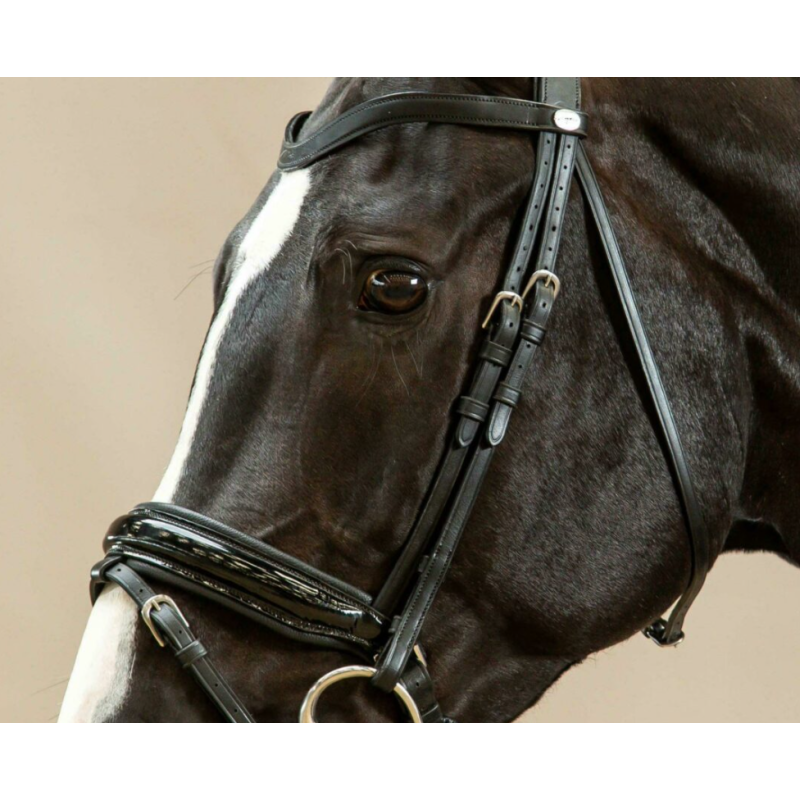 Dressage cheekpieces - Working by Dy'on