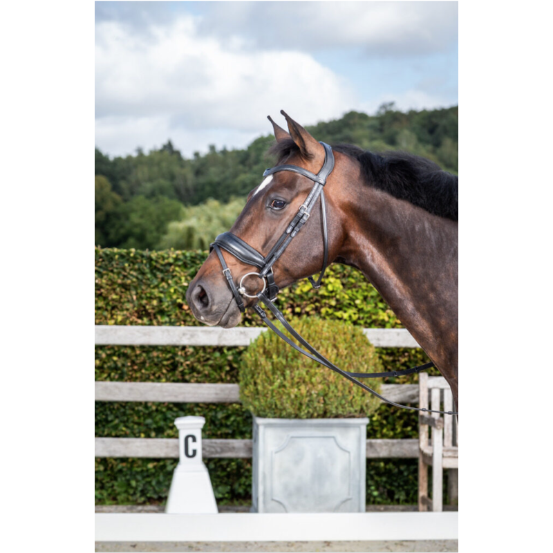 Matte Large Crank Noseband Bridle with Flash - Dressage Dy'on