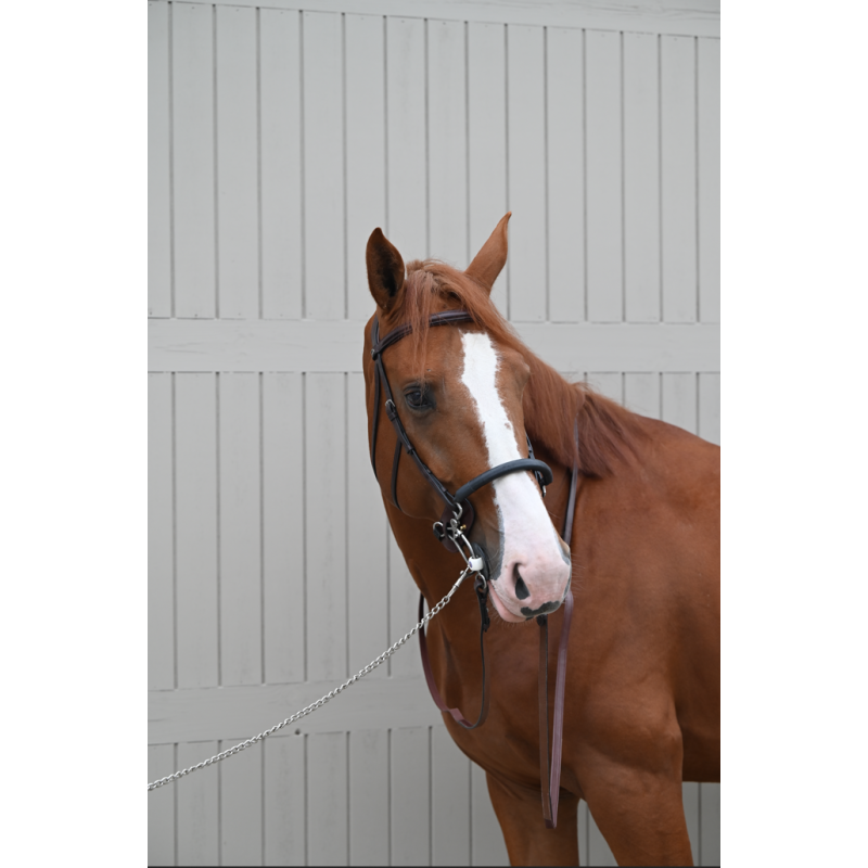 Tandem - Hackamore protection en cuir Dyon