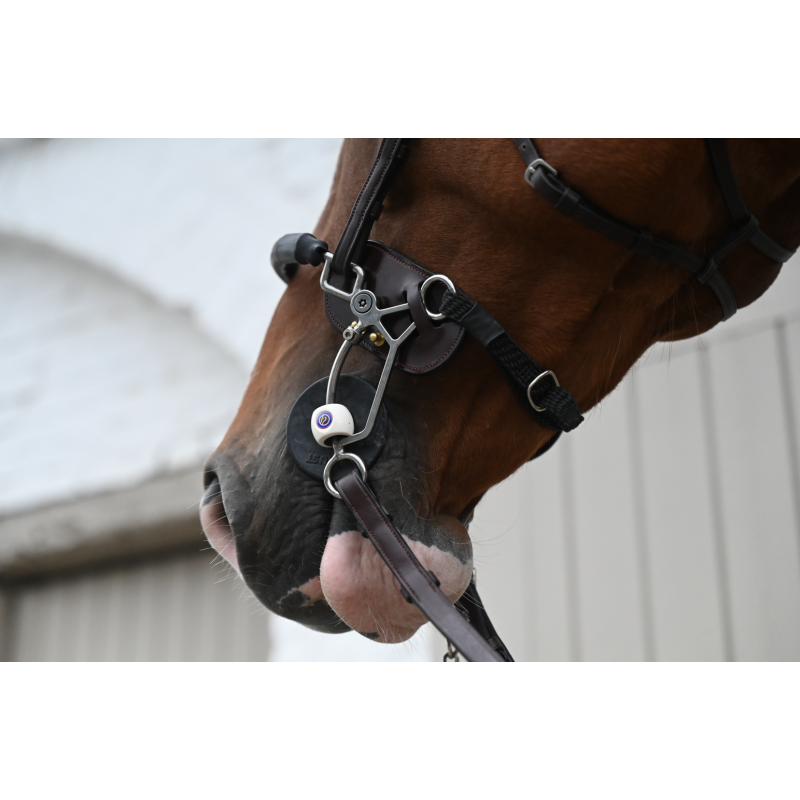Tandem - Hackamore protection en cuir Dyon