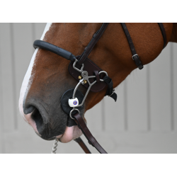 Tandem - Hackamore protection