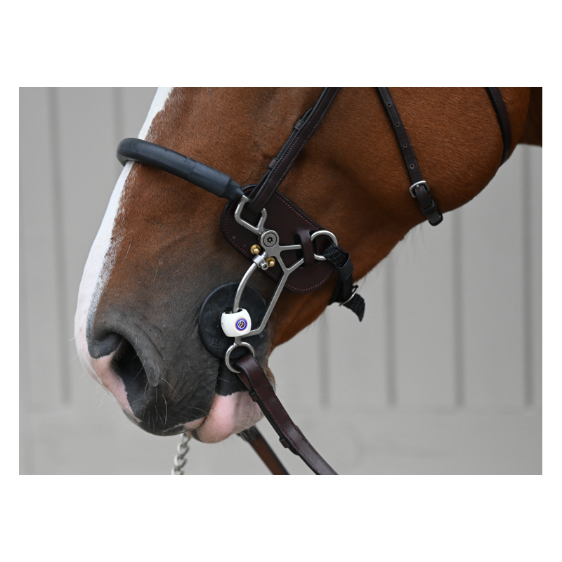 Tandem - Hackamore protection en cuir Dyon