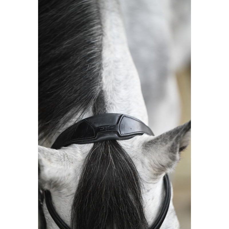 Select Slimford Bridle