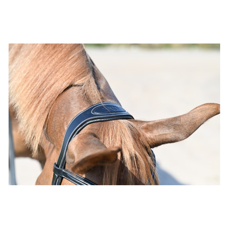 Bridle New York with Reins - One
