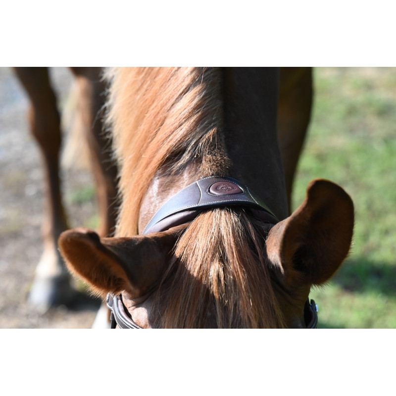 London Bridle