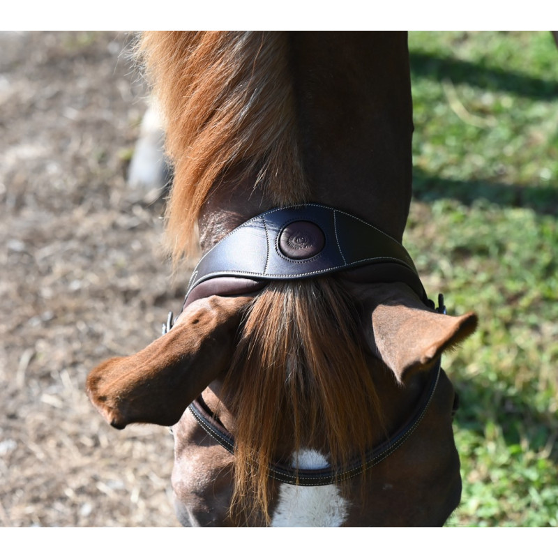 Paladin Bridle