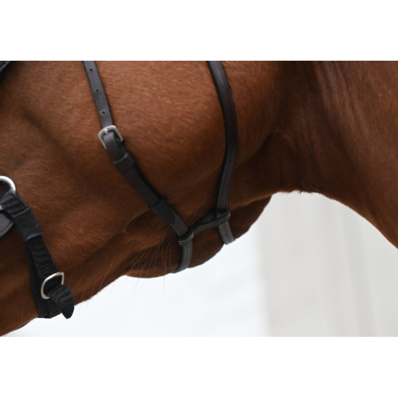 Bridon hackamore - New English Dy'on