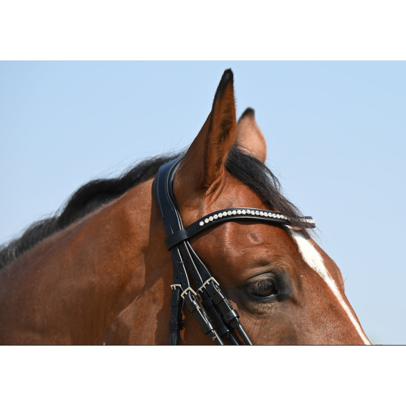 Double Bridle Select Venice