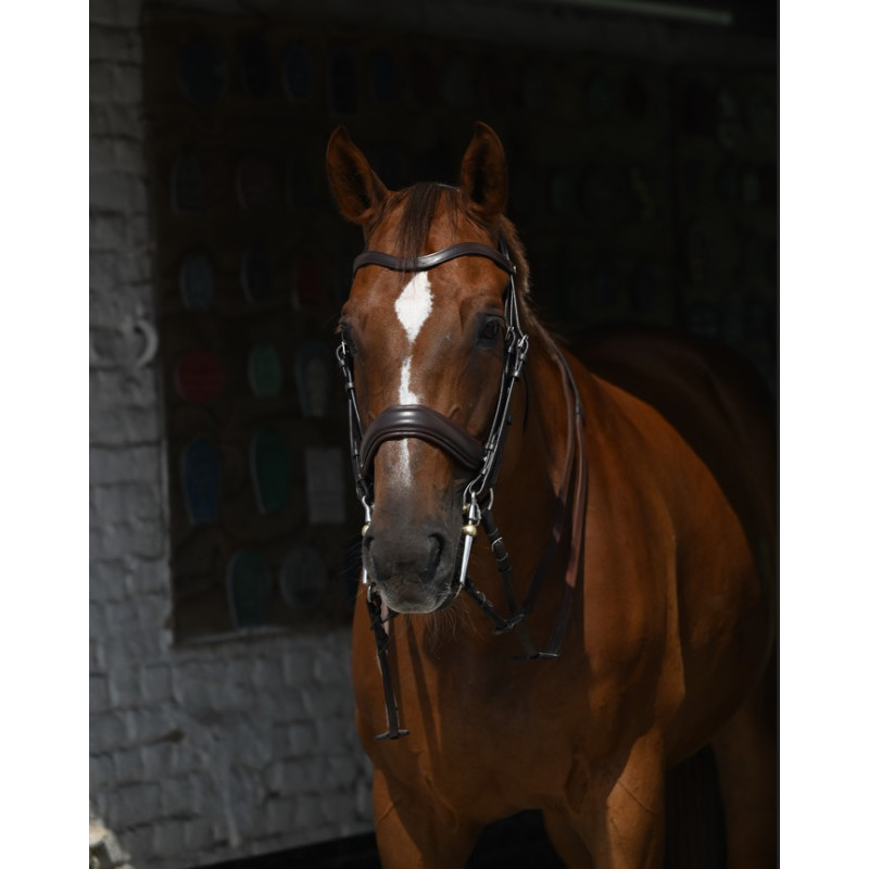 Dressage Double Bridle Dy'on