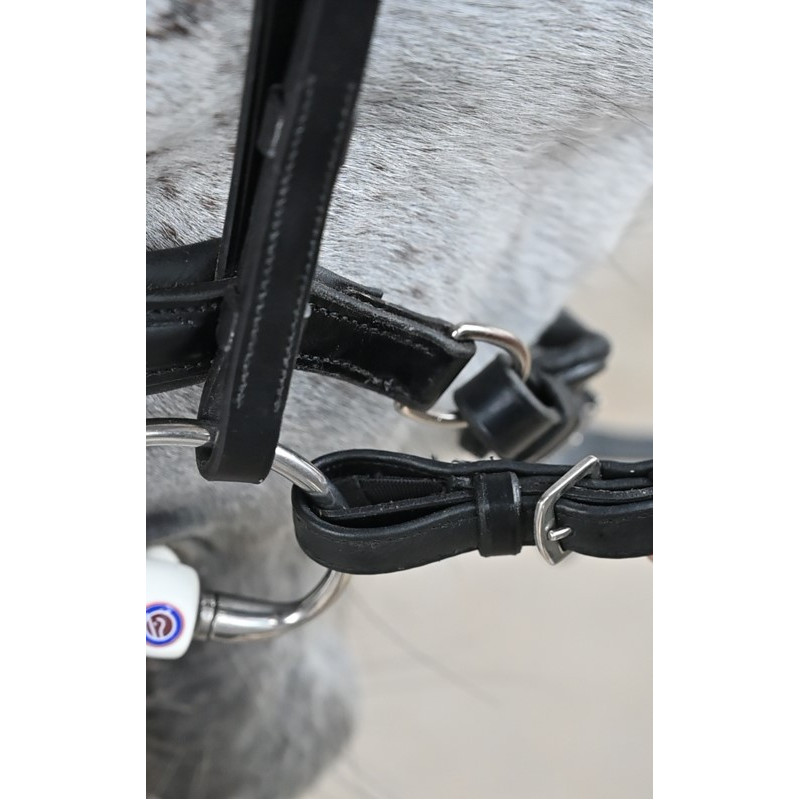 Reins Softy / Supergrip