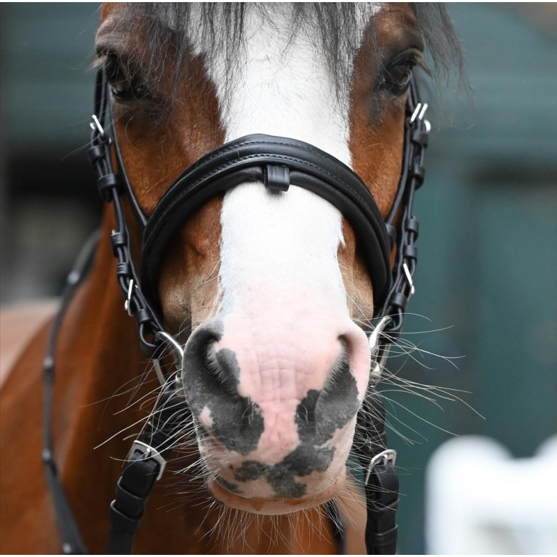 Bridle Star Diamond