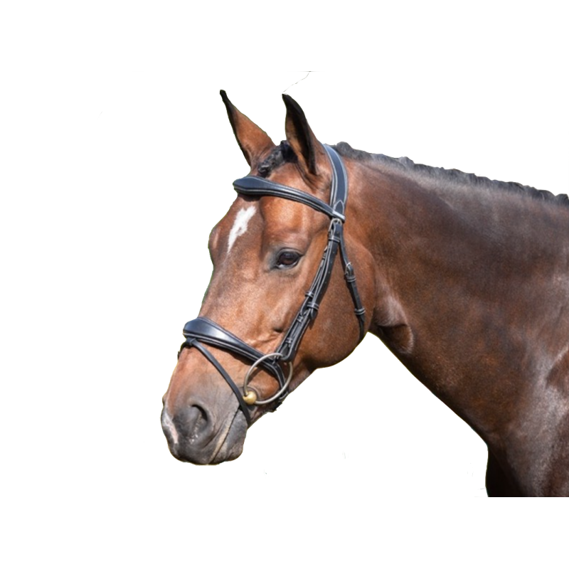 Bridle Brussels with Reins - One