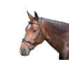 Bridle Brussels with Reins - One