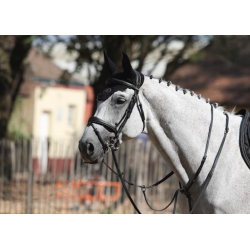 Bridle Brussels with Reins...