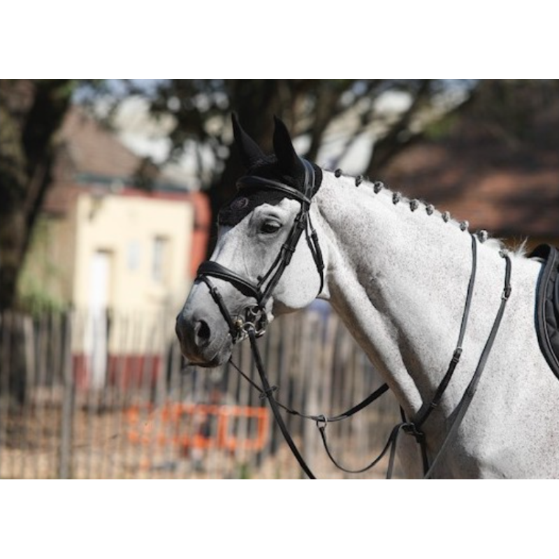 Bridle Brussels with Reins - One