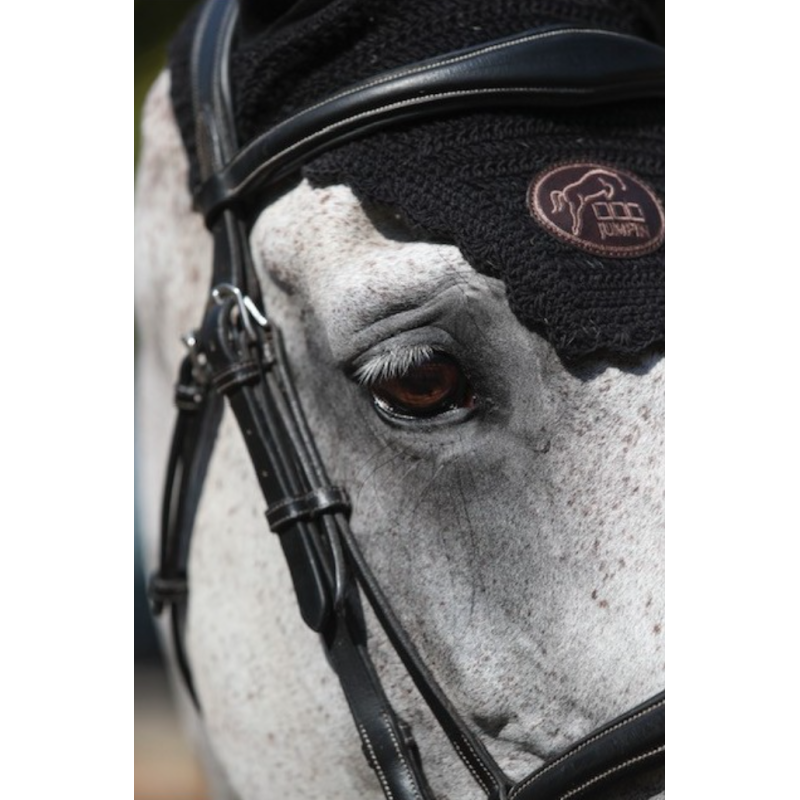 Bridle Brussels with Reins - One