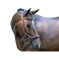 Bridle Manhattan with rein...