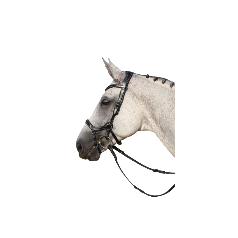 Bridle New York with Reins - One