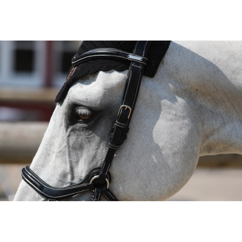 Bridle New York with Reins - One