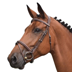 Bridle Paris with Reins - One