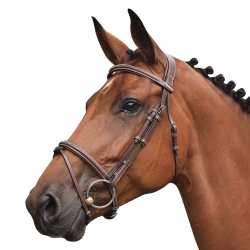 Bridle Paris with reins - One