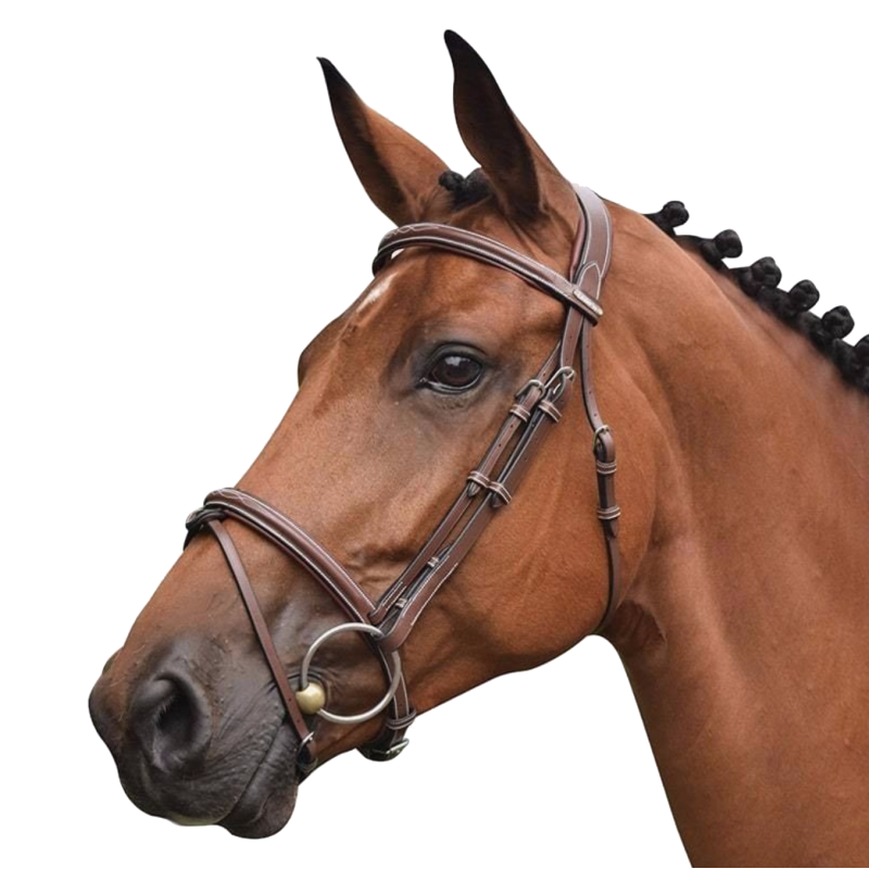 Bridle Paris with reins - One