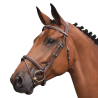 Bridle Paris with reins - One