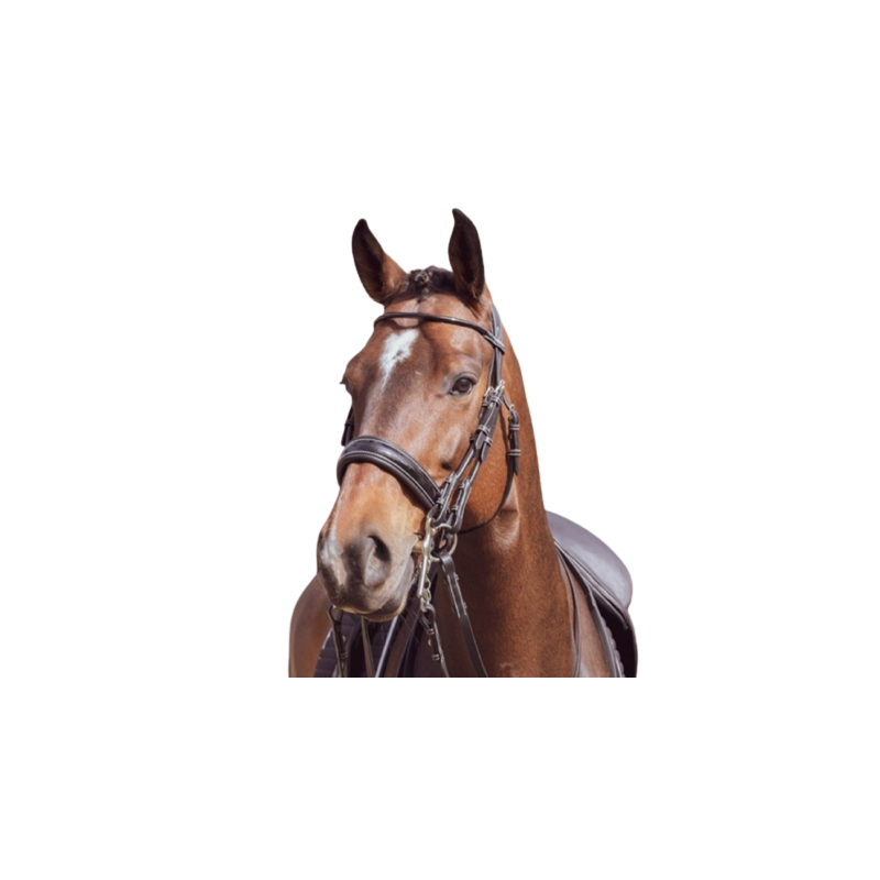 Double Bridle Courchevel with Reins - One